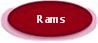 RAMS