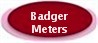 Badger Meters