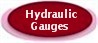 HYDRAULIC GAUGES