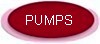 Pumps Reconditioned